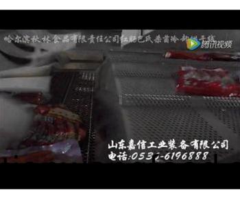 哈(ha)爾濱(bin)鞦(qiu)林食(shi)品巴(ba)氏(shi)殺菌烘(hong)榦線