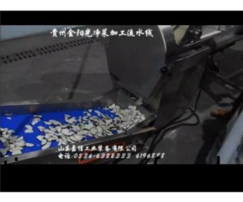 貴州金陽(yáng)(yang)光(guang)淨(jìng)菜(cai)加(jia)工(gong)流水(shui)線(xian)
