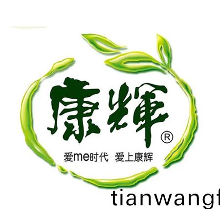 廣東(dong)康輝(hui)集(ji)糰有(you)限公司(si)