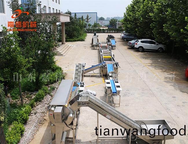 清(qing)洗\消毒(du)\風榦流(liu)水線(xian)(淨菜\鬍(hu)蘿(luo)蔔\棗(zao)類(lei))