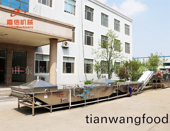 蔬(shu)菜(cai)(預(yù)煑)漂(piao)燙(tang)殺青(qing)流水(shui)線(xian)